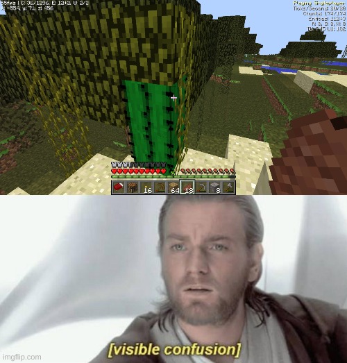 Found this while playing Minecraft yesterday | image tagged in visible confusion,minecraft,huh,memes | made w/ Imgflip meme maker