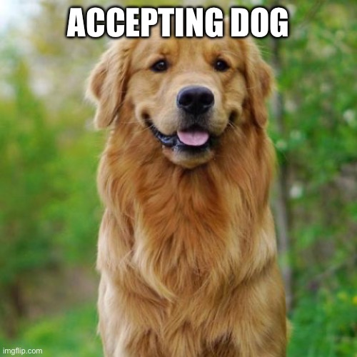 Golden Retriever | ACCEPTING DOG | image tagged in golden retriever | made w/ Imgflip meme maker