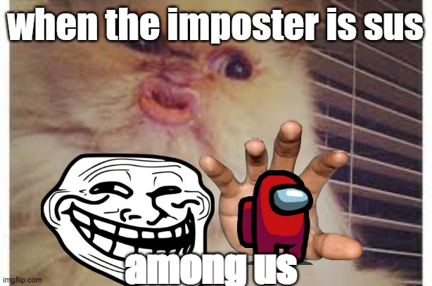 Cat With Lips | when the imposter is sus; among us | image tagged in cat with lips | made w/ Imgflip meme maker