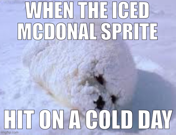 WHEN THE ICED MCDONAL SPRITE; HIT ON A COLD DAY | made w/ Imgflip meme maker