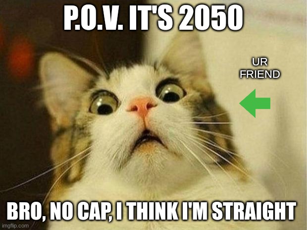 I think I'm straight | P.O.V. IT'S 2050; UR FRIEND; BRO, NO CAP, I THINK I'M STRAIGHT | image tagged in memes,scared cat | made w/ Imgflip meme maker