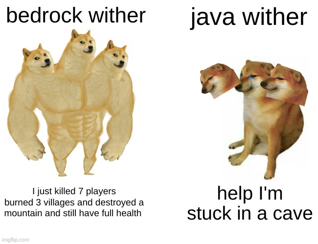 minecraft | bedrock wither; java wither; I just killed 7 players burned 3 villages and destroyed a mountain and still have full health; help I'm stuck in a cave | image tagged in memes,buff doge vs cheems | made w/ Imgflip meme maker