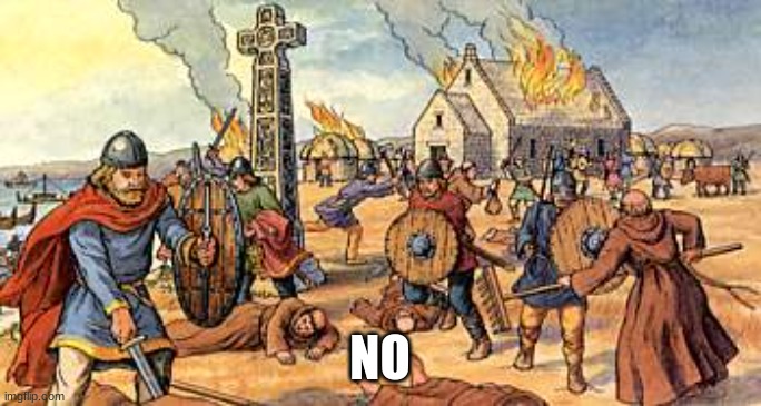 Viking Raid | NO | image tagged in viking raid | made w/ Imgflip meme maker