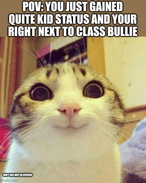 Smiling Cat Meme | POV: YOU JUST GAINED QUITE KID STATUS AND YOUR RIGHT NEXT TO CLASS BULLIE; DON'T ASK WHY SO SPECIFIC | image tagged in memes,smiling cat | made w/ Imgflip meme maker