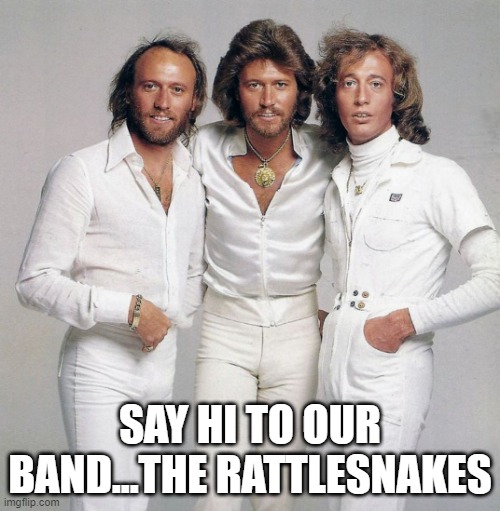 Their OG Name | SAY HI TO OUR BAND...THE RATTLESNAKES | image tagged in bee gees | made w/ Imgflip meme maker
