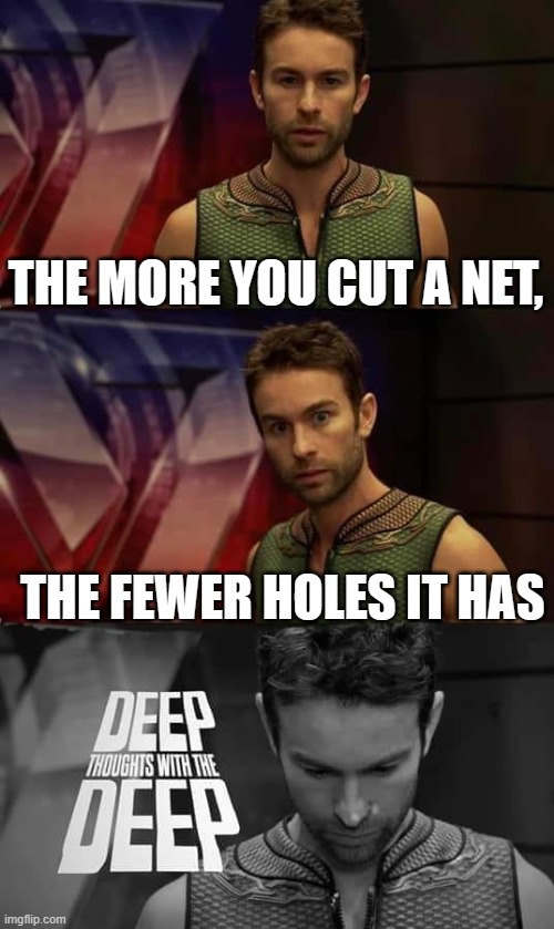 shower thoughts #5 | THE MORE YOU CUT A NET, THE FEWER HOLES IT HAS | image tagged in deep thoughts with the deep,deep thoughts,memes,fun,shower thoughts | made w/ Imgflip meme maker