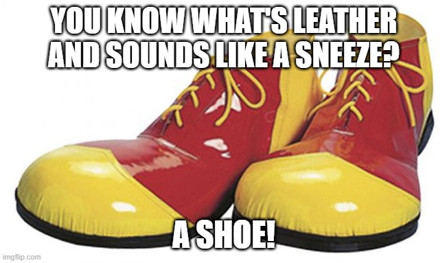 Shoe | YOU KNOW WHAT'S LEATHER AND SOUNDS LIKE A SNEEZE? A SHOE! | image tagged in clown shoes | made w/ Imgflip meme maker