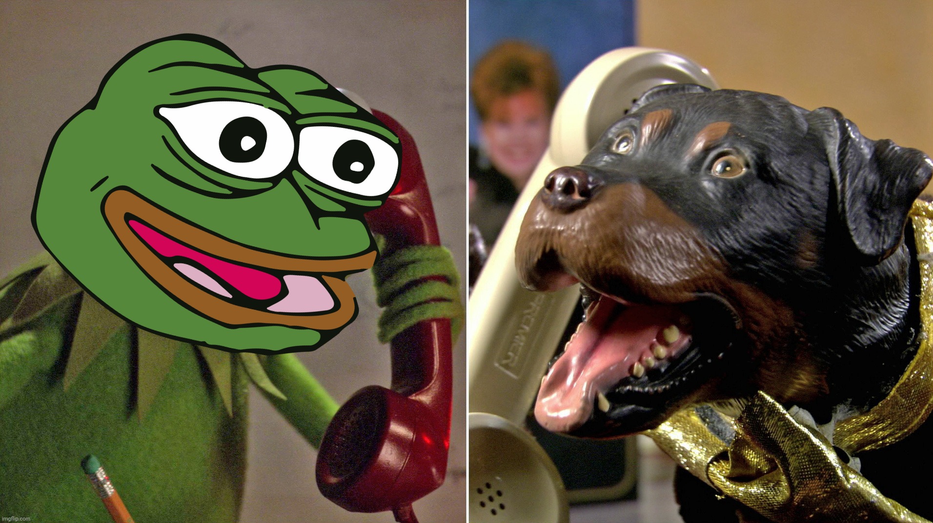 image tagged in kermit,pepe,pepe the frog,triumph the insult comic dog,triumph | made w/ Imgflip meme maker