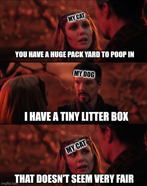 not fair | MY CAT; YOU HAVE A HUGE PACK YARD TO POOP IN; MY DOG; I HAVE A TINY LITTER BOX; MY CAT; THAT DOESN'T SEEM VERY FAIR | image tagged in it doesn't seem fair | made w/ Imgflip meme maker
