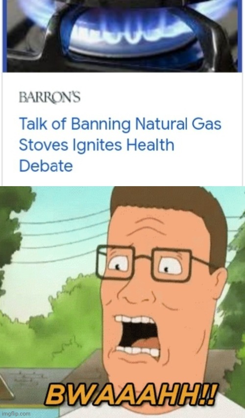 Pro pain | image tagged in hank hill,king of the hill,gas,propane | made w/ Imgflip meme maker