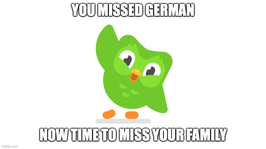 Doulingo | YOU MISSED GERMAN; NOW TIME TO MISS YOUR FAMILY | image tagged in doulingo | made w/ Imgflip meme maker