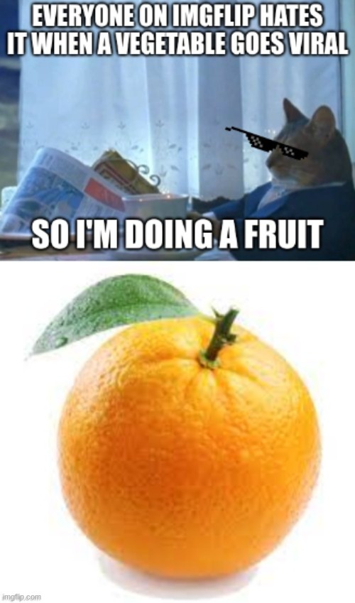 fruit is beeter that vegtables | image tagged in funny memes | made w/ Imgflip meme maker