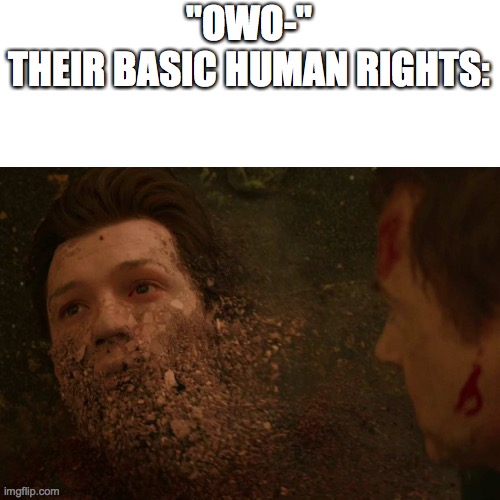 Spiderman getting Thanos snapped | "OWO-"
THEIR BASIC HUMAN RIGHTS: | image tagged in spiderman getting thanos snapped | made w/ Imgflip meme maker