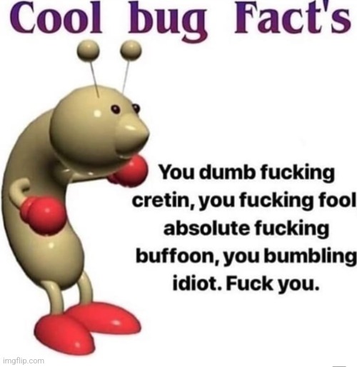 a not so cool bug fact | image tagged in a not so cool bug fact | made w/ Imgflip meme maker