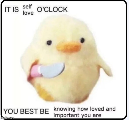 Killer Duck Wholesome (comment if this made your day) | image tagged in killer duck | made w/ Imgflip meme maker