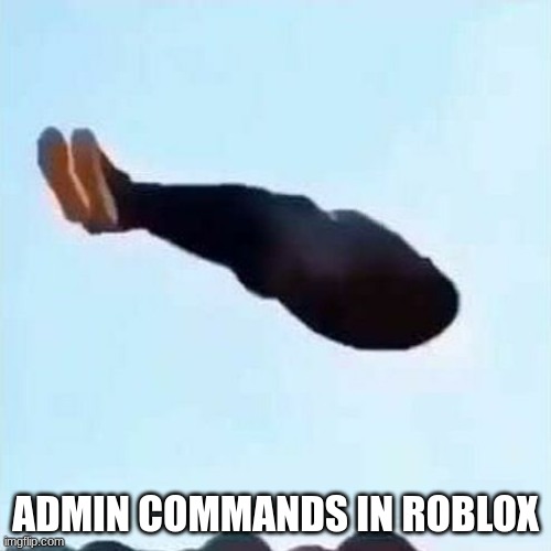 ADMIN COMMANDS IN ROBLOX | image tagged in roblox,flying | made w/ Imgflip meme maker