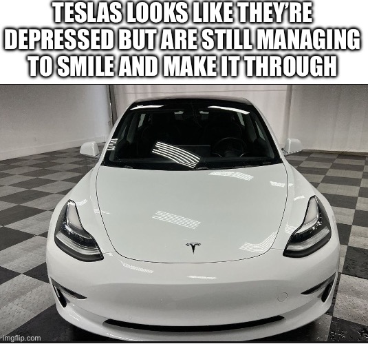 I like teslas | TESLAS LOOKS LIKE THEY’RE DEPRESSED BUT ARE STILL MANAGING TO SMILE AND MAKE IT THROUGH | image tagged in tesla | made w/ Imgflip meme maker