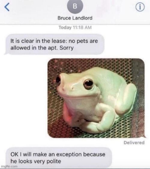 image tagged in froggo,awww,frogs,landlord,pets,polite | made w/ Imgflip meme maker