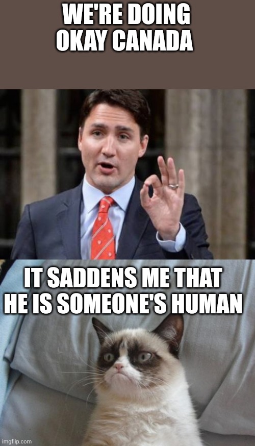 Trudeau Grumpy Cat | WE'RE DOING OKAY CANADA; IT SADDENS ME THAT HE IS SOMEONE'S HUMAN | image tagged in trudeau grumpy cat | made w/ Imgflip meme maker