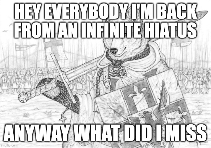 "infinite" | HEY EVERYBODY I'M BACK FROM AN INFINITE HIATUS; ANYWAY WHAT DID I MISS | image tagged in fursader | made w/ Imgflip meme maker