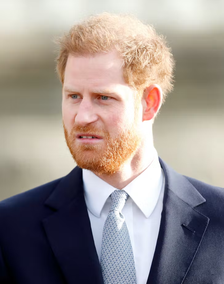 prince harry todger Blank Meme Template