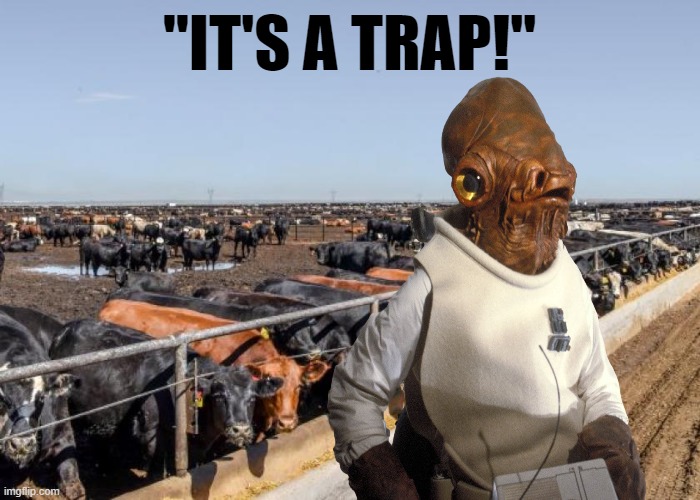 It's a Trap! | "IT'S A TRAP!" | image tagged in star wars,admiral ackbar,it's a trap,feedlot,cattle,funny memes | made w/ Imgflip meme maker