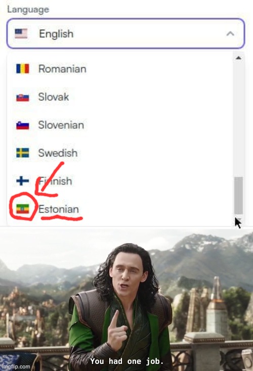 "Estonian" | image tagged in you had one job just the one,memes,countries,you had one job,failure,what | made w/ Imgflip meme maker