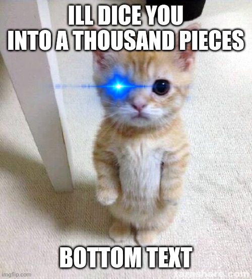 Cute Cat | ILL DICE YOU INTO A THOUSAND PIECES; BOTTOM TEXT | image tagged in memes,cute cat | made w/ Imgflip meme maker