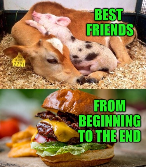 Best friends | BEST 
FRIENDS; FROM BEGINNING TO THE END | image tagged in best friends,beginning,to the end,life of a burger,fun | made w/ Imgflip meme maker