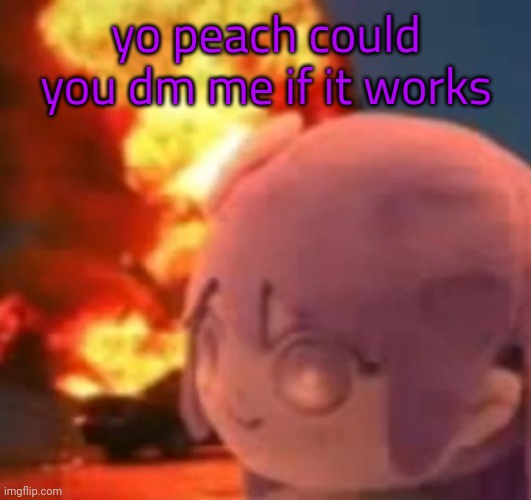 if that's ok idk | yo peach could you dm me if it works | image tagged in msmg | made w/ Imgflip meme maker