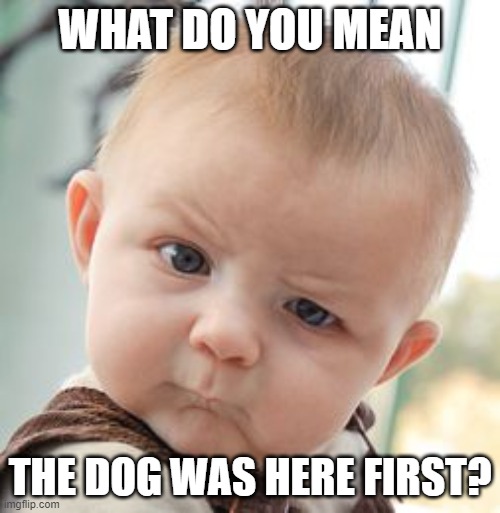 WHAT?!? | WHAT DO YOU MEAN; THE DOG WAS HERE FIRST? | image tagged in memes,skeptical baby | made w/ Imgflip meme maker