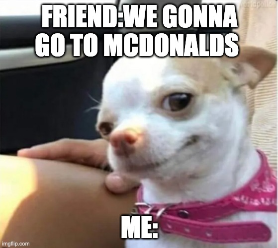FRIEND:WE GONNA GO TO MCDONALDS; ME: | image tagged in doge,dog,smile,happy dog,happy doge,death stare | made w/ Imgflip meme maker