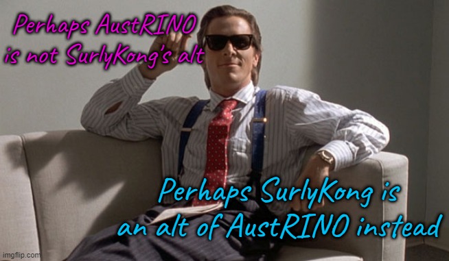 That's wonderful, very nice. Now let's see Paul Allen's alt. | Perhaps AustRINO is not SurlyKong's alt; Perhaps SurlyKong is an alt of AustRINO instead | image tagged in patrick bateman | made w/ Imgflip meme maker