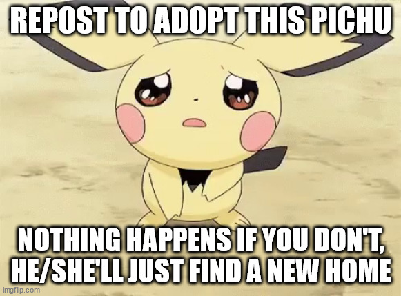 Sad pichu | REPOST TO ADOPT THIS PICHU; NOTHING HAPPENS IF YOU DON'T, HE/SHE'LL JUST FIND A NEW HOME | image tagged in sad pichu | made w/ Imgflip meme maker