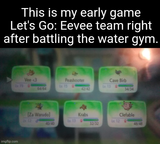 "Rate my setup" | This is my early game Let's Go: Eevee team right after battling the water gym. | image tagged in gaming,pokemon | made w/ Imgflip meme maker