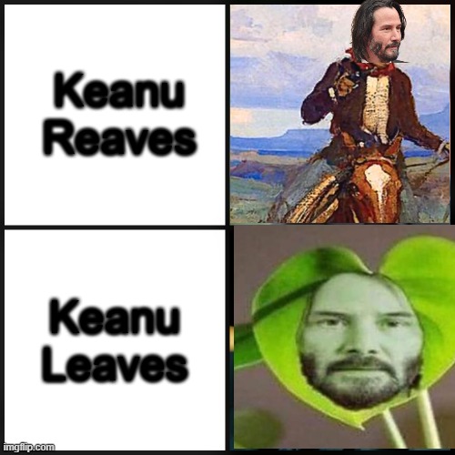Keanu Reaves / Keanu Leaves | Keanu Reaves; Keanu Leaves | image tagged in keanu approves/disapproves | made w/ Imgflip meme maker