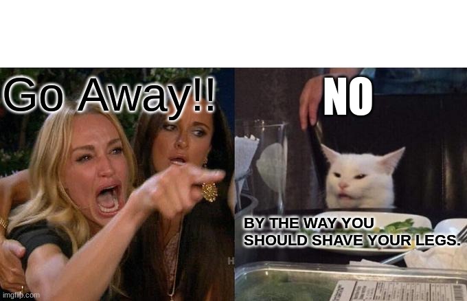 Woman Yelling At Cat | NO; Go Away!! BY THE WAY YOU SHOULD SHAVE YOUR LEGS. | image tagged in memes,woman yelling at cat | made w/ Imgflip meme maker