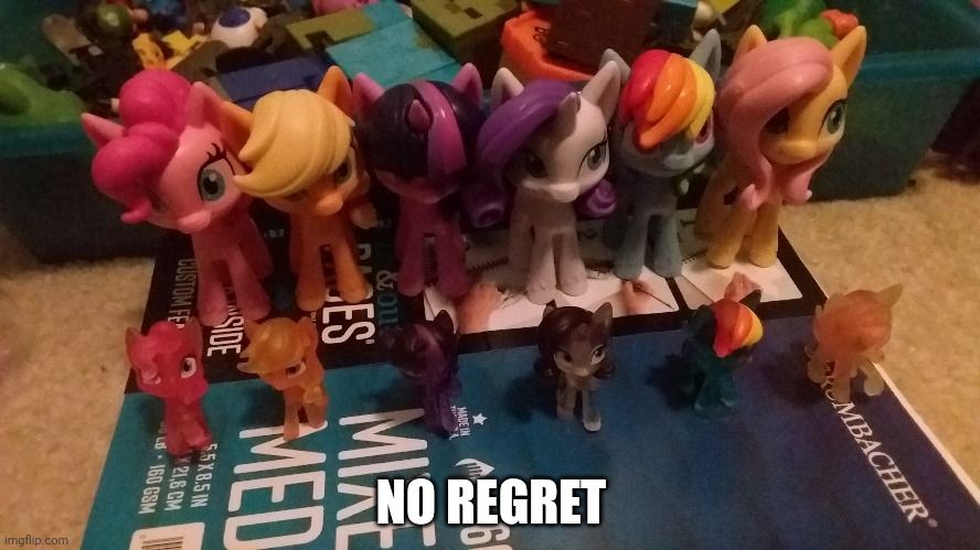 This is what happened when my mom figured out i'm a Brony... NO REGRETS | NO REGRET | image tagged in my little pony | made w/ Imgflip meme maker