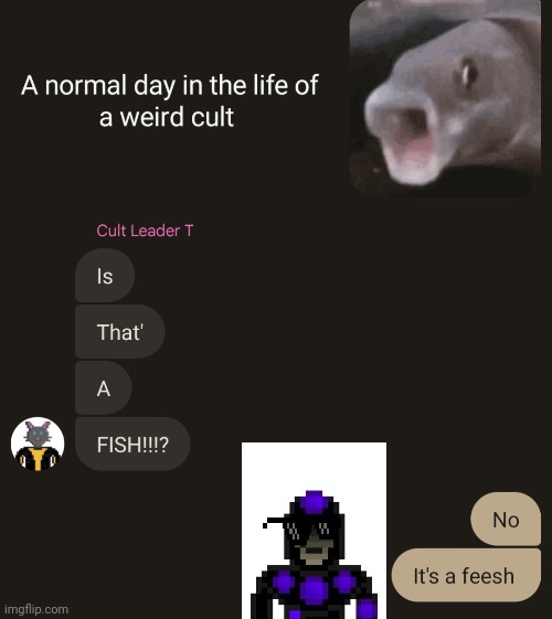 I'm not wrong | image tagged in cat scratch voodoo no birb doll sacrifices cult,feesh | made w/ Imgflip meme maker