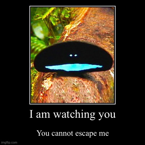 You can’t escape | image tagged in funny,demotivationals | made w/ Imgflip demotivational maker