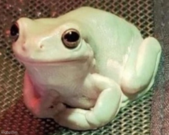 High Quality Polite frog Blank Meme Template