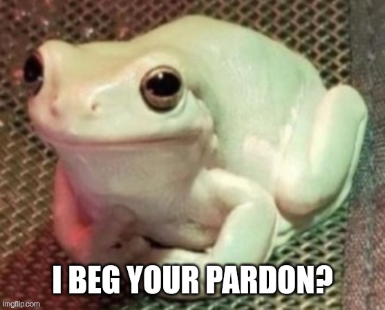 Polite frog | I BEG YOUR PARDON? | image tagged in polite frog | made w/ Imgflip meme maker