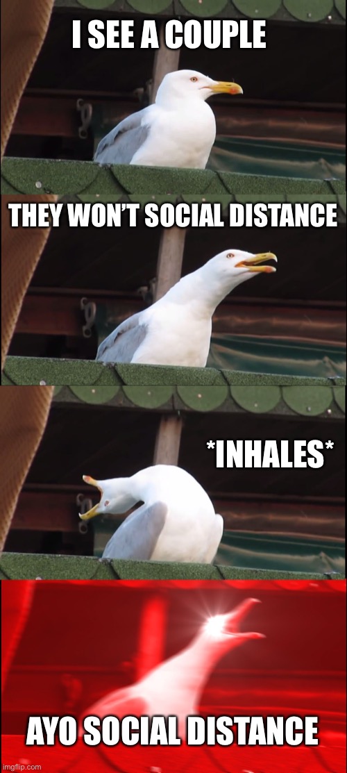 Inhaling Seagull | I SEE A COUPLE; THEY WON’T SOCIAL DISTANCE; *INHALES*; AYO SOCIAL DISTANCE | image tagged in memes,inhaling seagull | made w/ Imgflip meme maker