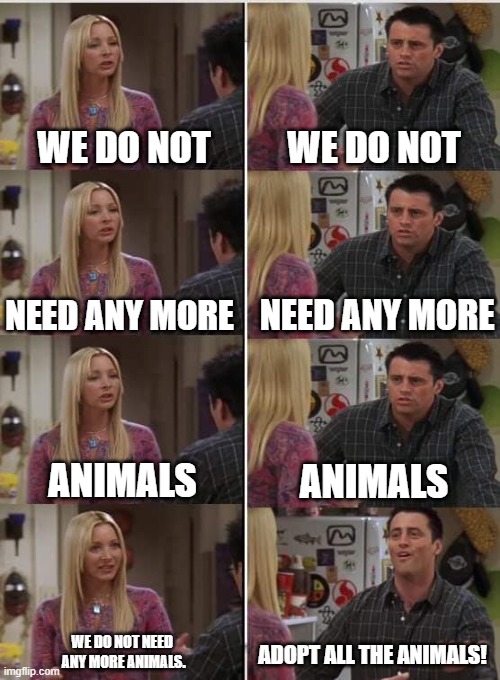 Adopt all the animals | WE DO NOT; WE DO NOT; NEED ANY MORE; NEED ANY MORE; ANIMALS; ANIMALS; WE DO NOT NEED 
ANY MORE ANIMALS. ADOPT ALL THE ANIMALS! | image tagged in phoebe joey | made w/ Imgflip meme maker