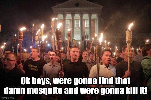 When vampire bugs ruin drinking night.... | Ok boys, were gonna find that damn mosquito and were gonna kill it! | image tagged in mosquito attack,angry mob,control,people | made w/ Imgflip meme maker