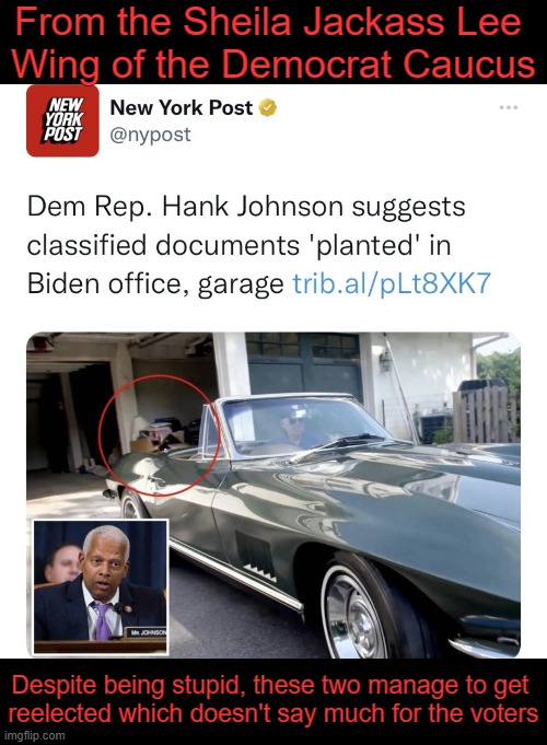 Still Waiting for Guam to Capsize... | From the Sheila Jackass Lee 
Wing of the Democrat Caucus; Despite being stupid, these two manage to get 
reelected which doesn't say much for the voters | image tagged in politics,political humor,hank johnson,sheila jackson lee,dumb,democrats | made w/ Imgflip meme maker