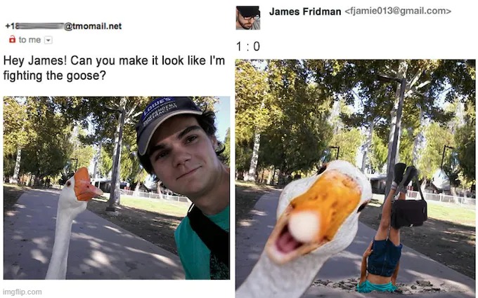 Hey James! Can you make it look like i'm fighting the goose? | image tagged in memes,unfunny,goose | made w/ Imgflip meme maker