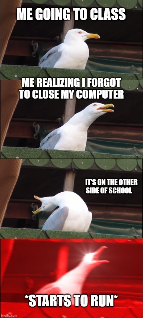 Help me random people are on my computer! | ME GOING TO CLASS; ME REALIZING I FORGOT TO CLOSE MY COMPUTER; IT'S ON THE OTHER SIDE OF SCHOOL; *STARTS TO RUN* | image tagged in memes,inhaling seagull | made w/ Imgflip meme maker