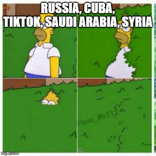 Homer hides | RUSSIA, CUBA, TIKTOK, SAUDI ARABIA, SYRIA | image tagged in homer hides | made w/ Imgflip meme maker