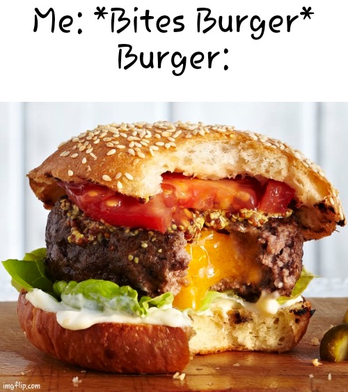 Burger | Me: *Bites Burger*

Burger: | image tagged in anti meme,burger,food | made w/ Imgflip meme maker